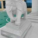 北京 白麻花岗岩动物异形石雕-大象