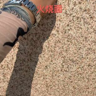 北京黄金麻火烧面